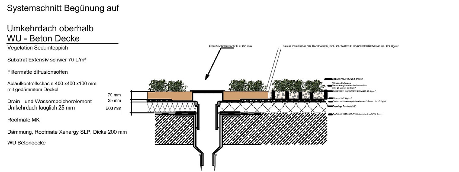 Extensive Dachbegrunung Aufbau